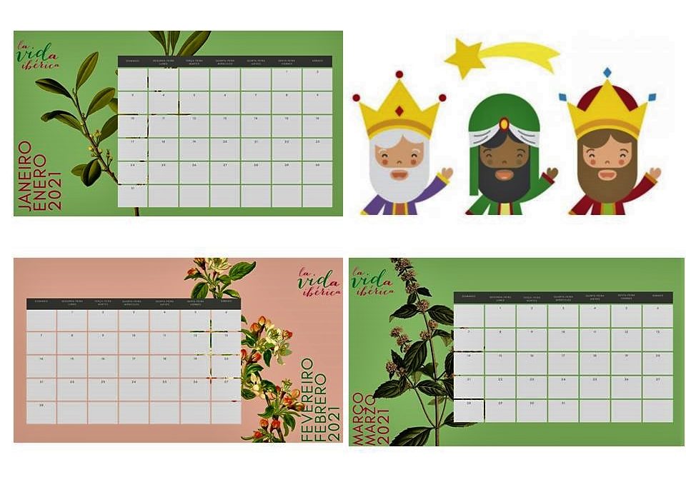 NEWSLETTER ENERO – REGALO CALENDARIO 2021